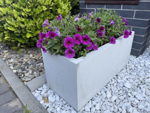 niska i elegancka donica z betonu architektonicznego